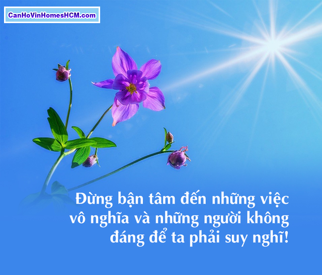  đất nền bình chánh