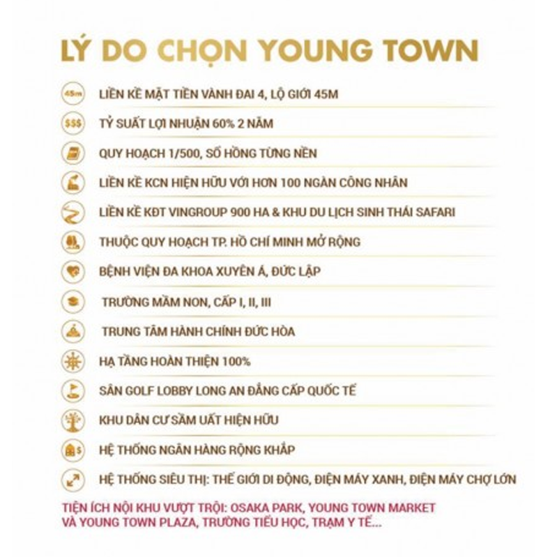  mua đất nền nhà phố young town , mua dat nen nha pho young town