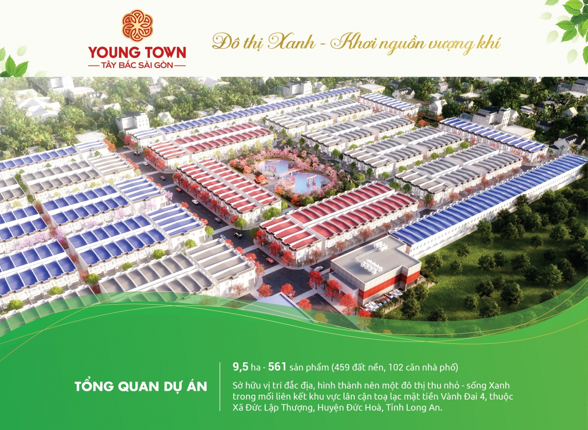 dự án young town