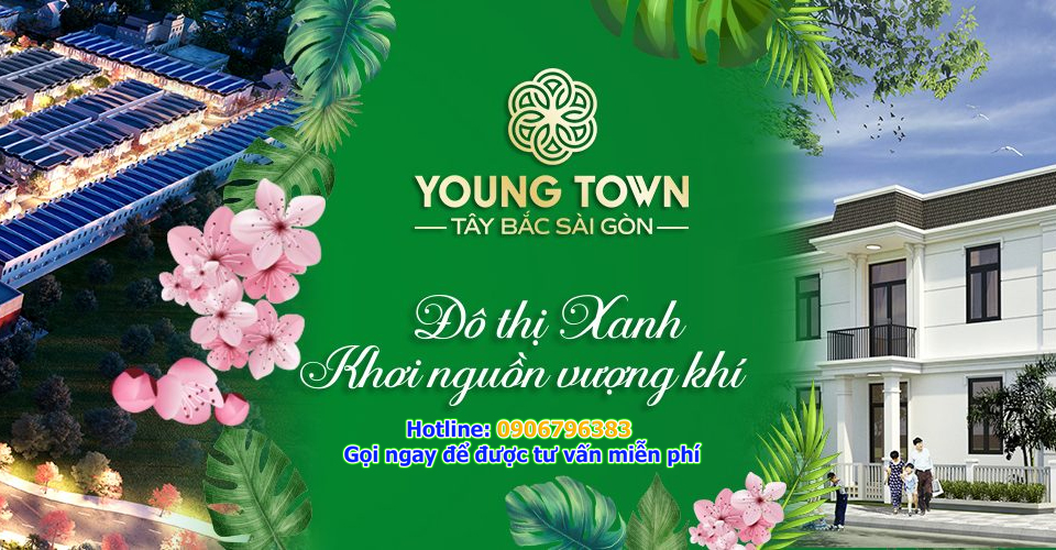 dự án young town 